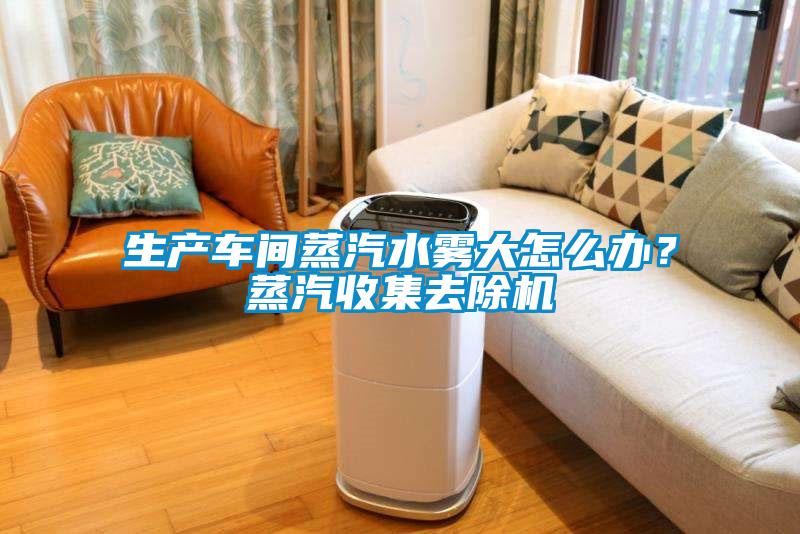 生產(chǎn)車間蒸汽水霧大怎么辦？蒸汽收集去除機(jī)