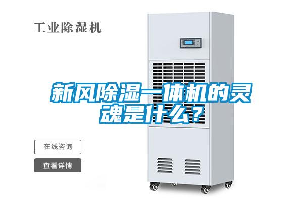 新風(fēng)除濕一體機(jī)的靈魂是什么？