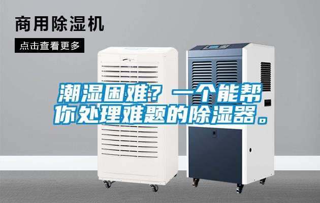 潮濕困難？一個(gè)能幫你處理難題的除濕器。