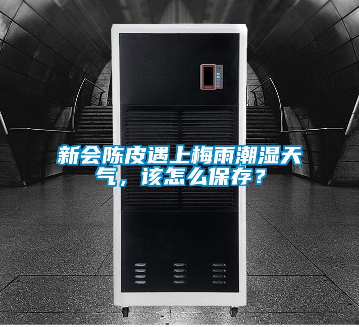 新會陳皮遇上梅雨潮濕天氣，該怎么保存？
