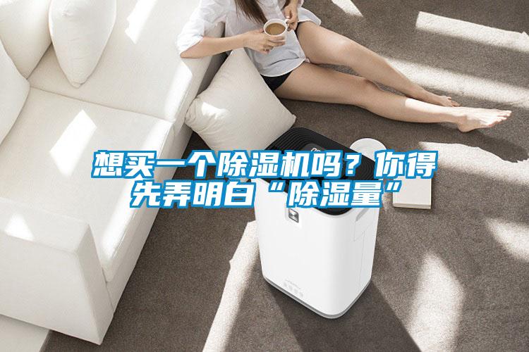 想買一個(gè)除濕機(jī)嗎？你得先弄明白“除濕量”