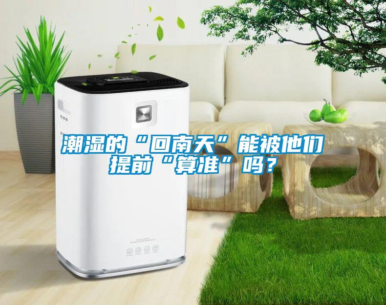 潮濕的“回南天”能被他們提前“算準”嗎？