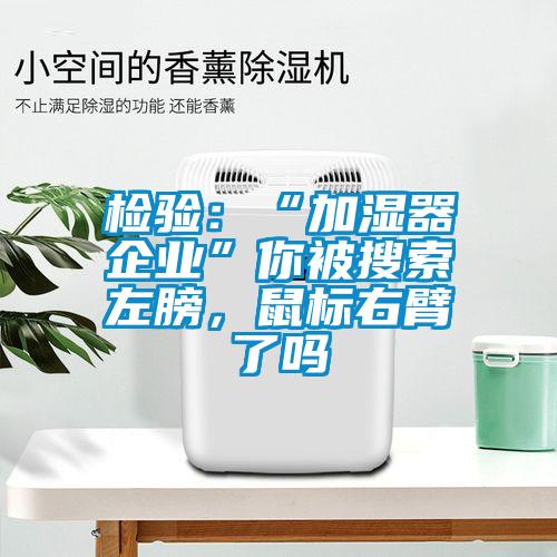 檢驗：“加濕器企業(yè)”你被搜索左膀，鼠標(biāo)右臂了嗎