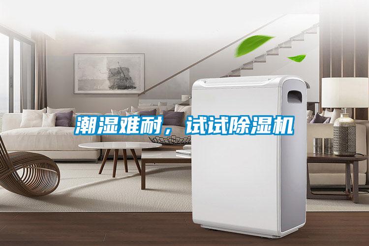 潮濕難耐，試試除濕機(jī)