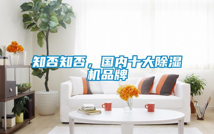 知否知否，國內十大除濕機品牌