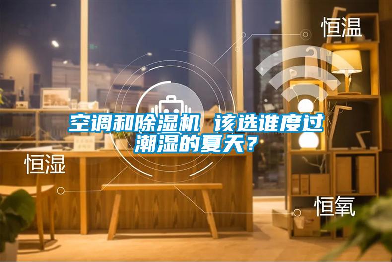 空調(diào)和除濕機(jī) 該選誰度過潮濕的夏天？