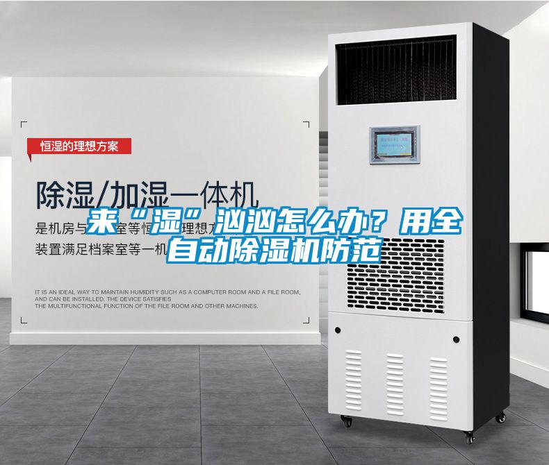 來“濕”洶洶怎么辦？用全自動除濕機防范