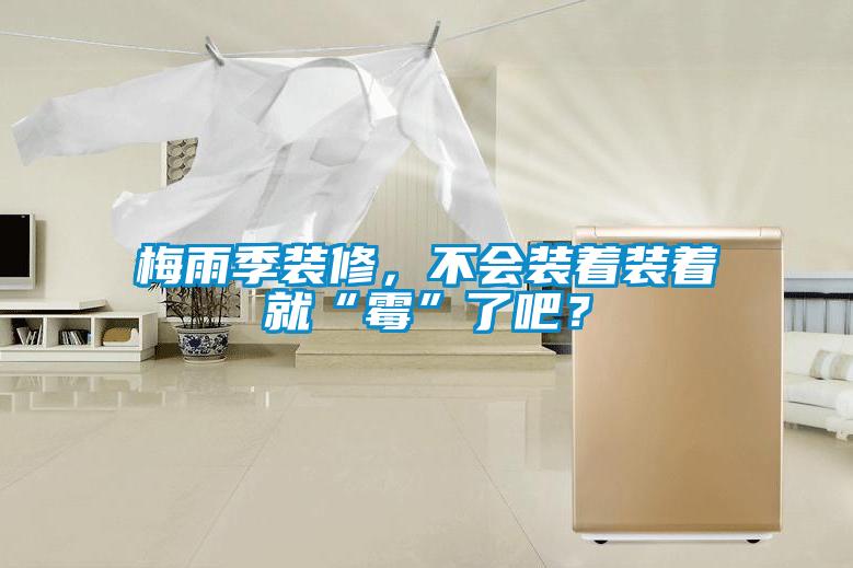 梅雨季裝修，不會裝著裝著就“霉”了吧？