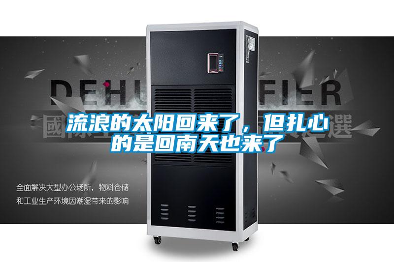 流浪的太陽回來了，但扎心的是回南天也來了