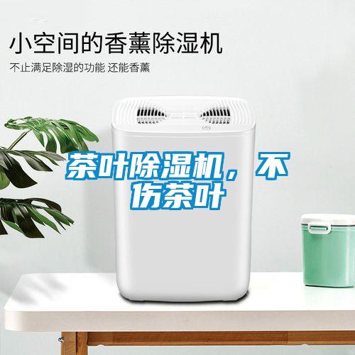 茶葉除濕機(jī)，不傷茶葉