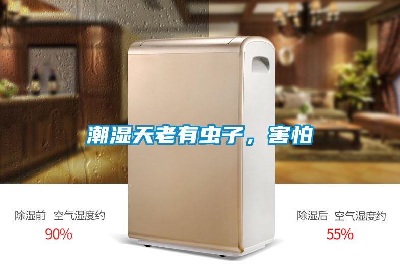 潮濕天老有蟲子，害怕