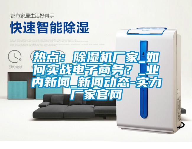 熱點(diǎn)：除濕機(jī)廠家_如何實(shí)戰(zhàn)電子商務(wù)？_業(yè)內(nèi)新聞_新聞動(dòng)態(tài)-實(shí)力廠家官網(wǎng)