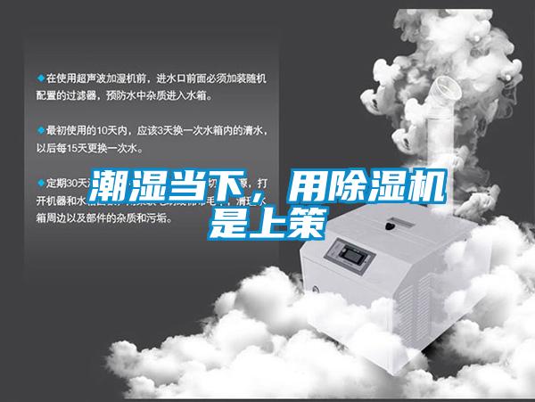 潮濕當下，用除濕機是上策
