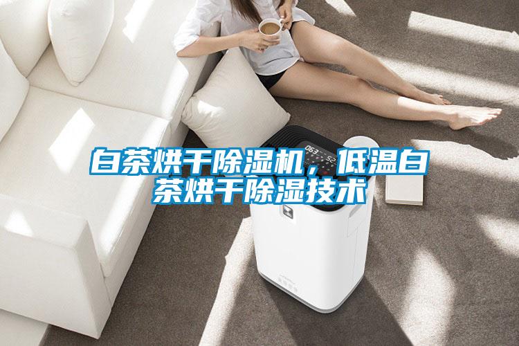 白茶烘干除濕機(jī)，低溫白茶烘干除濕技術(shù)