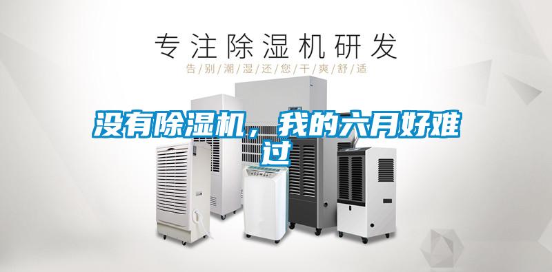 沒有除濕機，我的六月好難過