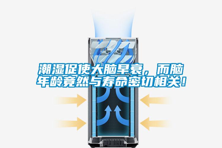 潮濕促使大腦早衰，而腦年齡竟然與壽命密切相關(guān)！