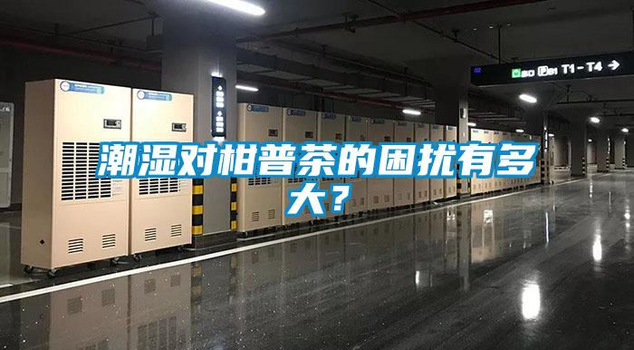 潮濕對柑普茶的困擾有多大？