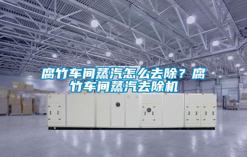 腐竹車(chē)間蒸汽怎么去除？腐竹車(chē)間蒸汽去除機(jī)