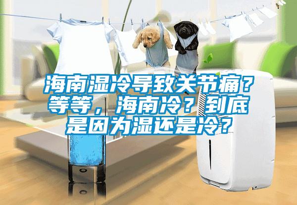 海南濕冷導(dǎo)致關(guān)節(jié)痛？等等，海南冷？到底是因?yàn)闈襁€是冷？