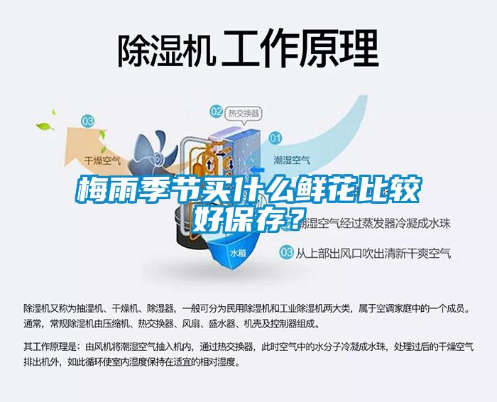梅雨季節(jié)買什么鮮花比較好保存？