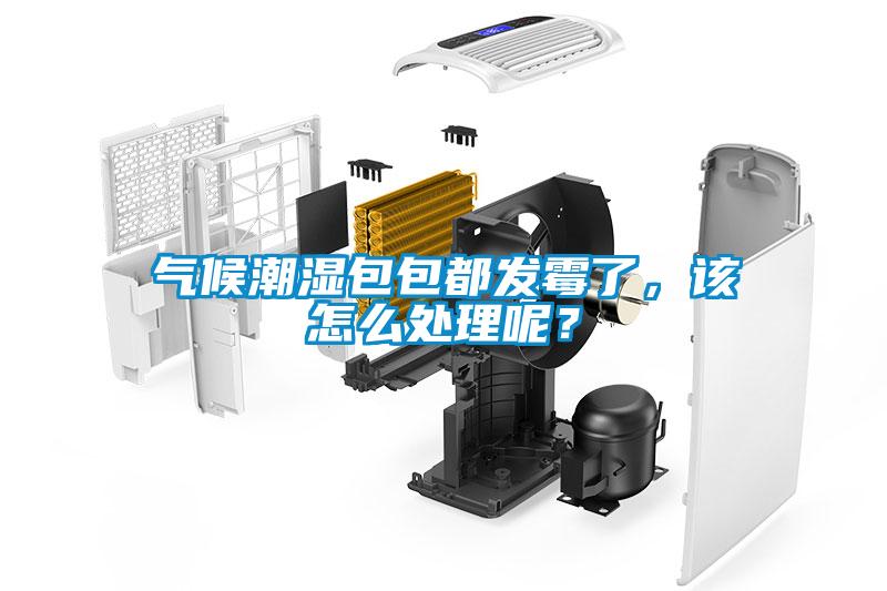 氣候潮濕包包都發(fā)霉了，該怎么處理呢？