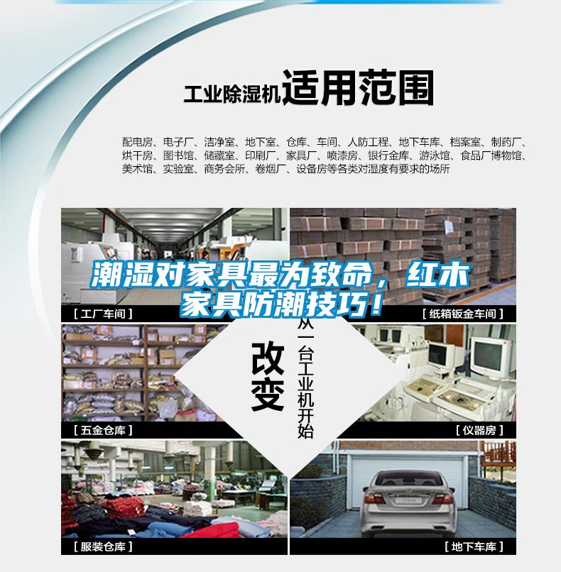 潮濕對家具最為致命，紅木家具防潮技巧！