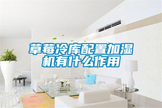 草莓冷庫(kù)配置加濕機(jī)有什么作用