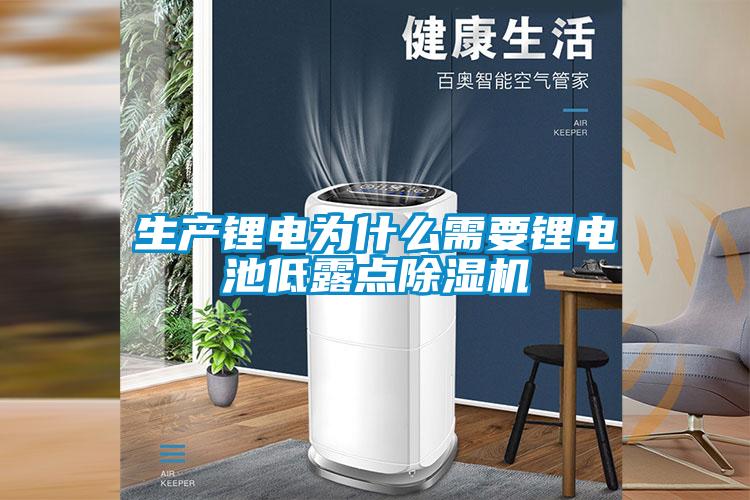 生產(chǎn)鋰電為什么需要鋰電池低露點(diǎn)除濕機(jī)