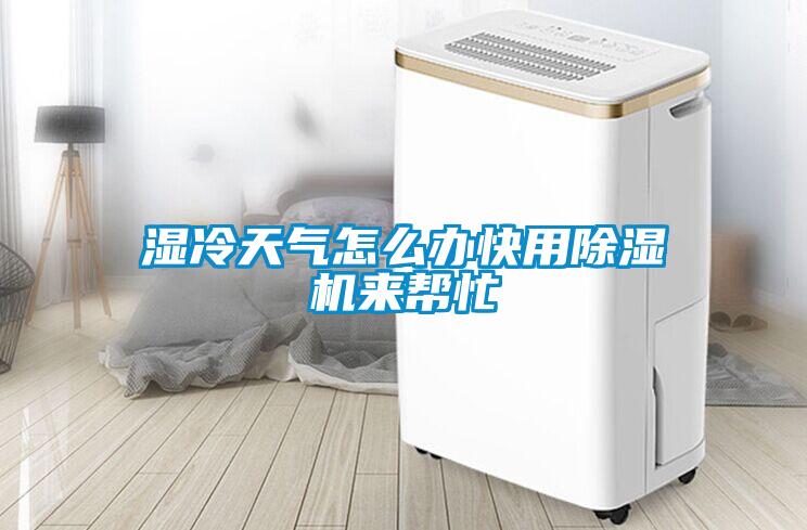 濕冷天氣怎么辦快用除濕機來幫忙