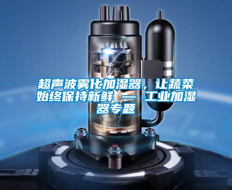 超聲波霧化加濕器，讓蔬菜始終保持新鮮 — 工業(yè)加濕器專題
