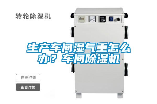 生產(chǎn)車間濕氣重怎么辦？車間除濕機(jī)