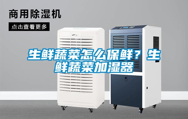 生鮮蔬菜怎么保鮮？生鮮蔬菜加濕器
