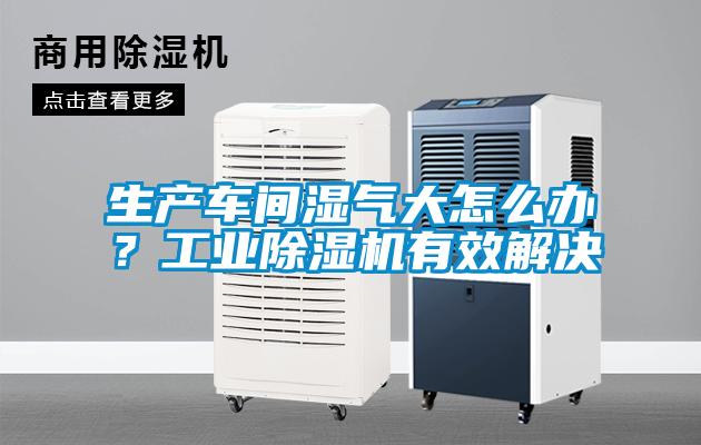 生產(chǎn)車間濕氣大怎么辦？工業(yè)除濕機有效解決