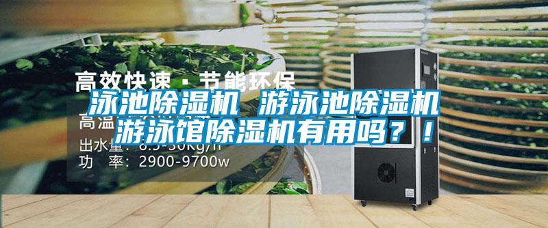 泳池除濕機 游泳池除濕機 游泳館除濕機有用嗎？！