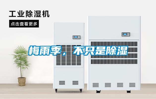 梅雨季,不只是除濕