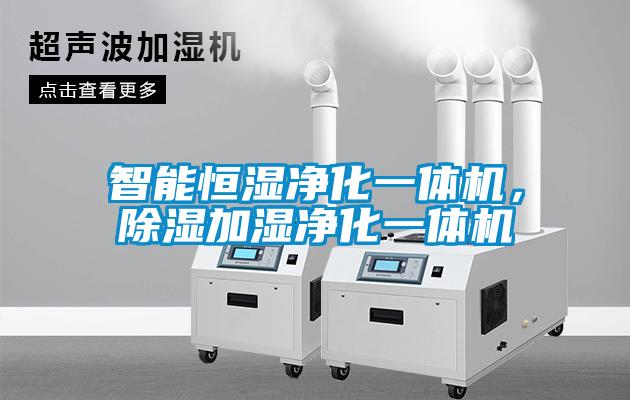 智能恒濕凈化一體機(jī)，除濕加濕凈化一體機(jī)