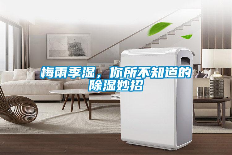 梅雨季濕，你所不知道的除濕妙招