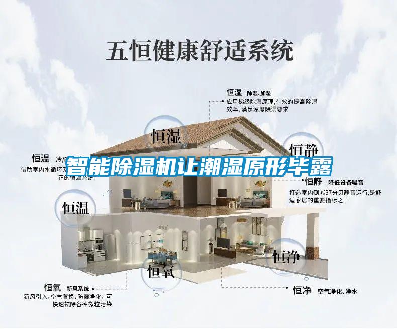 智能除濕機讓潮濕原形畢露