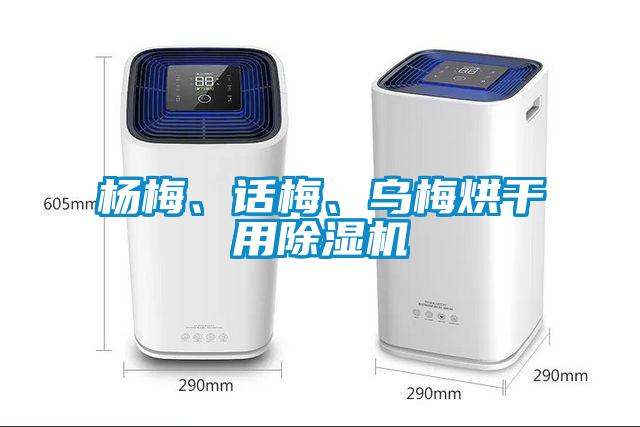 楊梅、話(huà)梅、烏梅烘干用除濕機(jī)