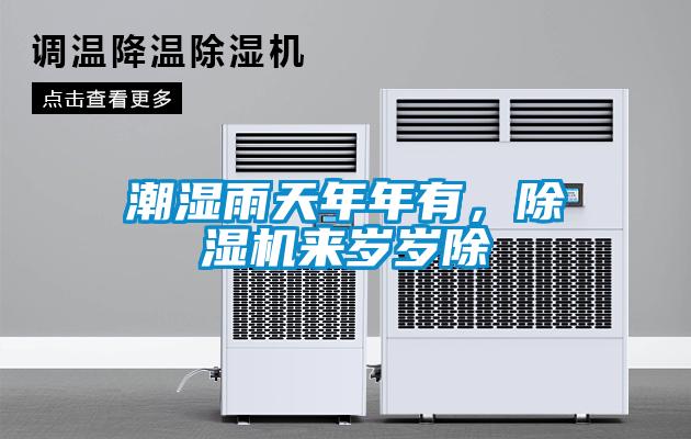 潮濕雨天年年有，除濕機來歲歲除