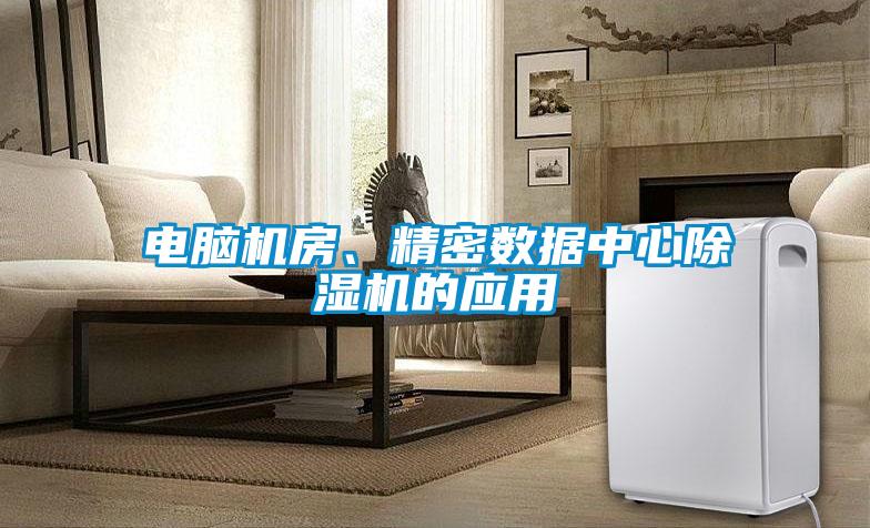 電腦機(jī)房、精密數(shù)據(jù)中心除濕機(jī)的應(yīng)用
