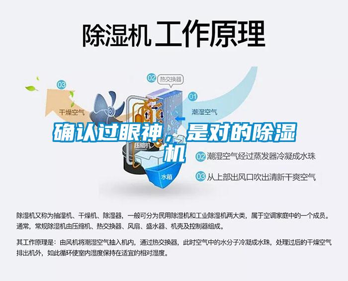 確認過眼神，是對的除濕機