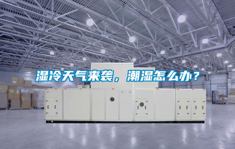 濕冷天氣來襲，潮濕怎么辦？