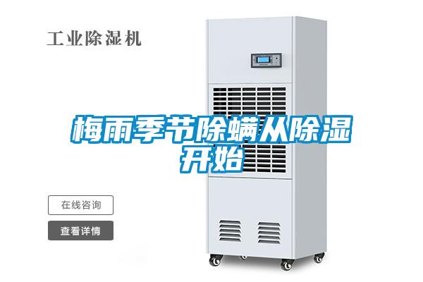 梅雨季節(jié)除螨從除濕開(kāi)始