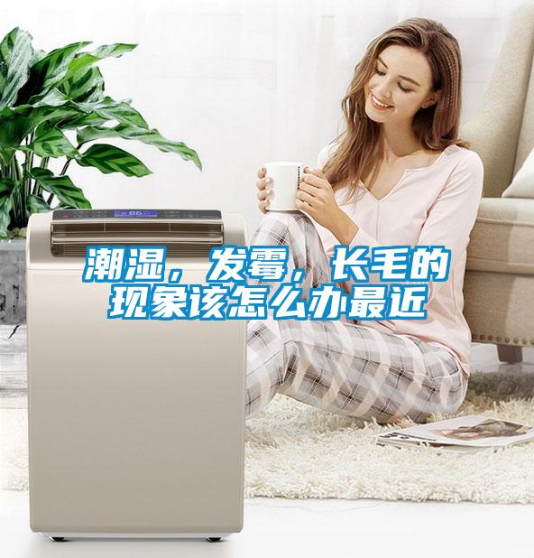 潮濕，發(fā)霉，長(zhǎng)毛的現(xiàn)象該怎么辦最近