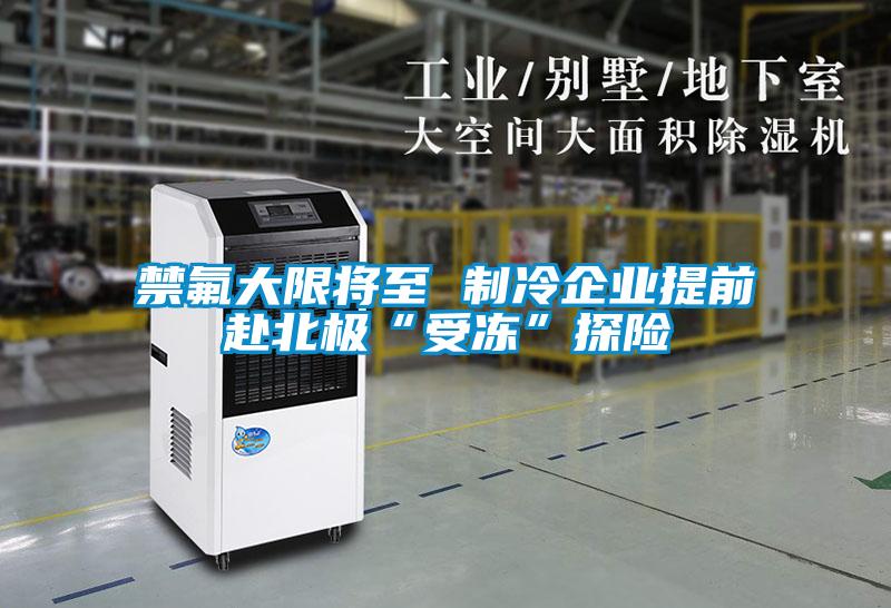 禁氟大限將至 制冷企業(yè)提前赴北極“受凍”探險