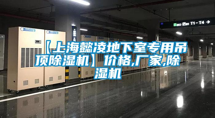 【上海懿凌地下室專用吊頂除濕機(jī)】價(jià)格,廠家,除濕機(jī)