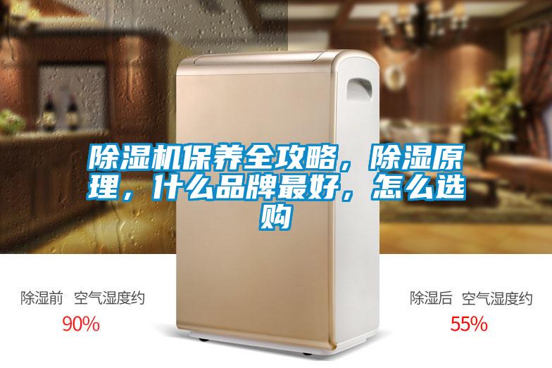 除濕機(jī)保養(yǎng)全攻略，除濕原理，什么品牌最好，怎么選購