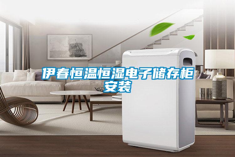 伊春恒溫恒濕電子儲(chǔ)存柜安裝