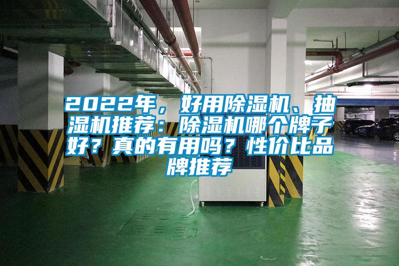 2022年，好用除濕機、抽濕機推薦：除濕機哪個牌子好？真的有用嗎？性價比品牌推薦